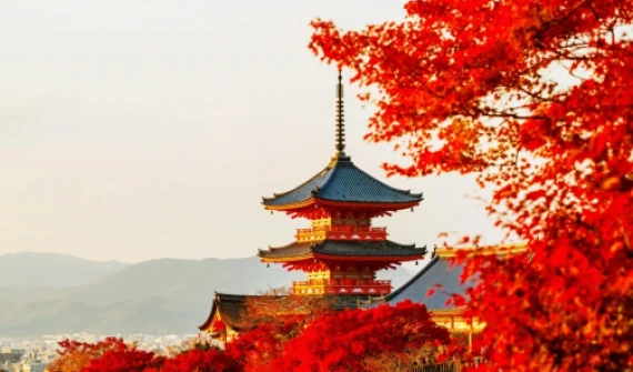 Greșeli frecvente într-un circuit în Japonia și cum le eviți (sfaturi de la experți)